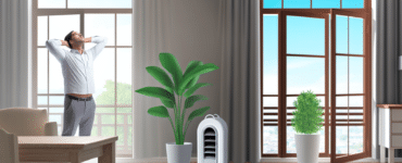 Techniques naturelles pour un air intérieur pur et frais
