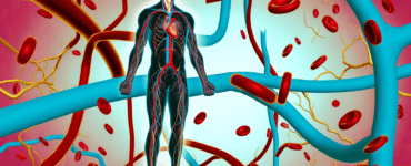 Astuces pour maintenir une bonne santé cardiovasculaire