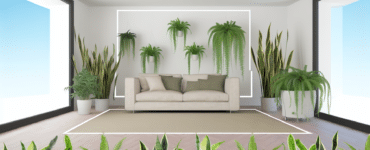 Stratégies pour choisir des plantes d'intérieur qui purifient l'air