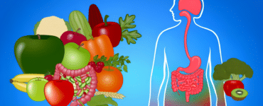 Astuces pour une bonne santé digestive grâce à l'alimentation