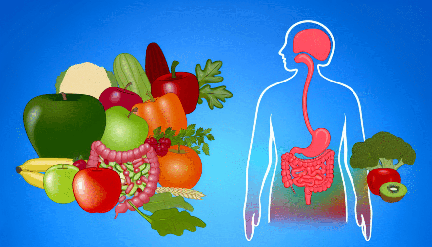 Astuces pour une bonne santé digestive grâce à l'alimentation